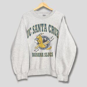 Vintage 90s University of California Sweatshirt, UC Santa Cruz Banana Slugs Tee